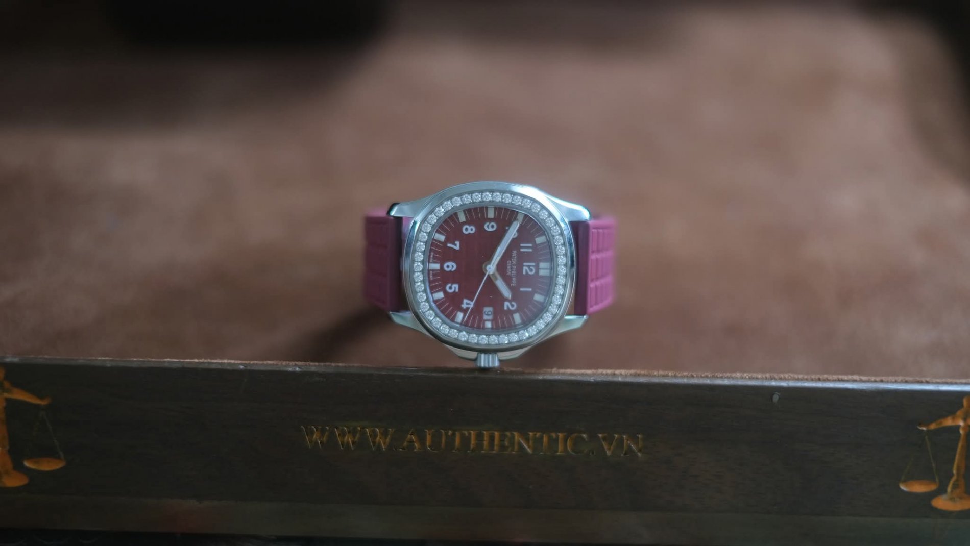 334147.jpg