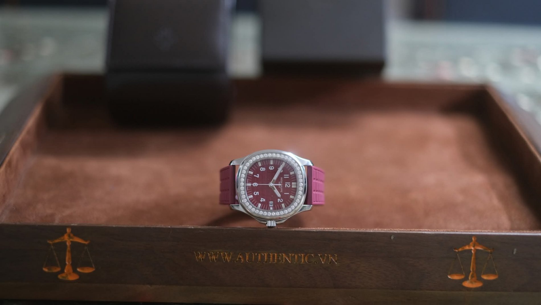 334148.jpg