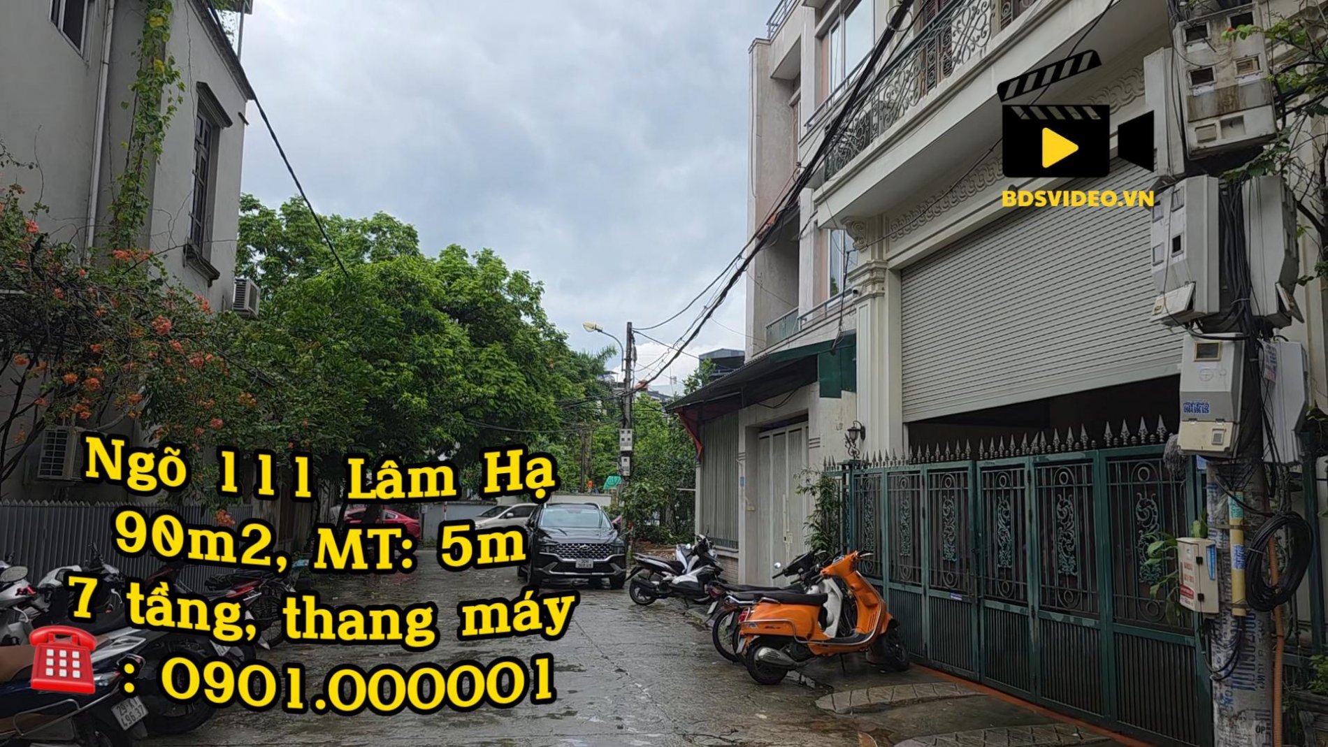 77367-Cover.jpg