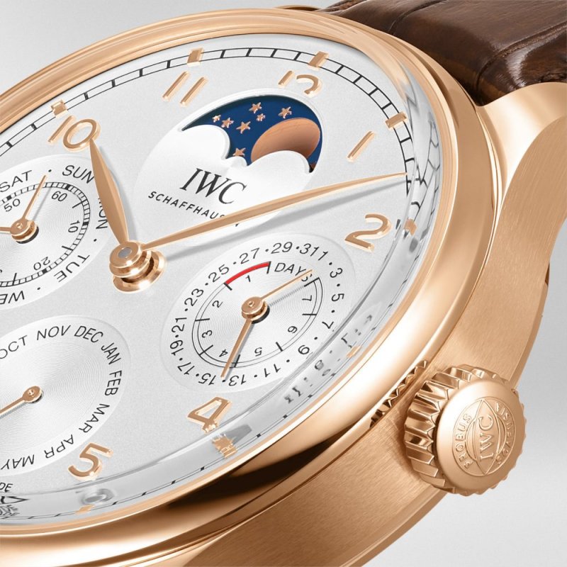 IWC PERPETUAL CALENDAR .jpeg