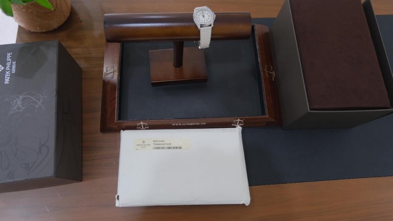 patek-philippe-aquanaut-5067A- cai-can-0901000001-.jpeg