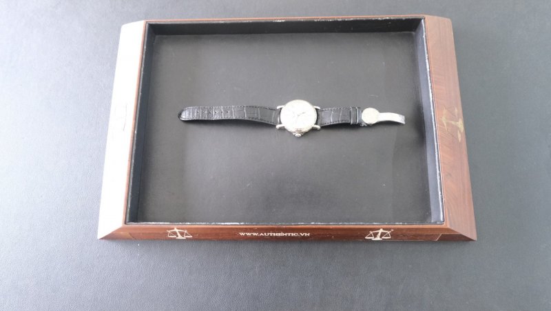 PATEK PHILIPPE PERPETUAL 5160G5.jpeg